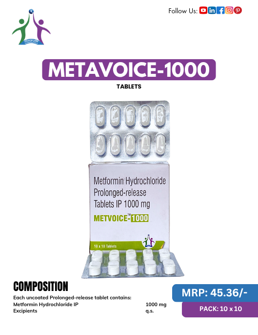 METAVOICE-1000